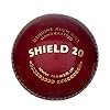 SG Cricket Balls Shield 20*(Red), Leather
